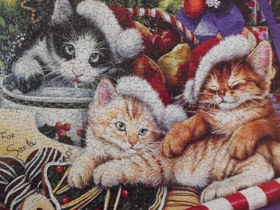 Meow-y Christmas
