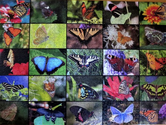 Grafika 1000Teile Collage Schmetterlinge