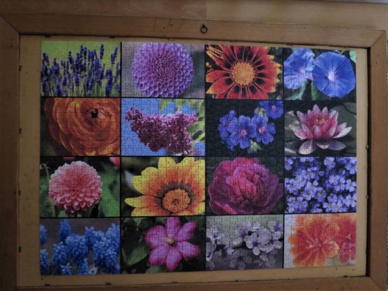 Grafika 1000 Teile Blüten