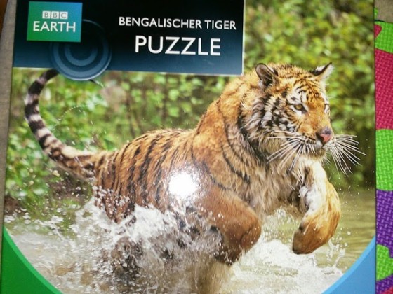 Bengalischer Tiger, 500