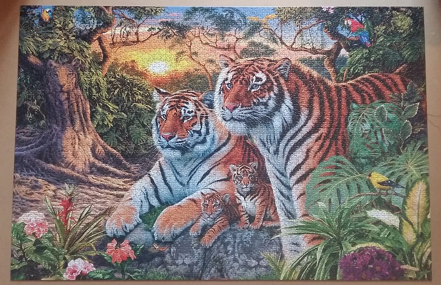 Hidden Tigers by Steve Read ( 2017)  3168 Pieces ( Ravensburger Puzzle )