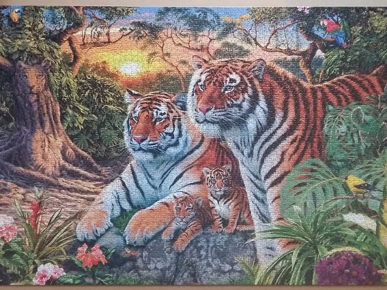 Hidden Tigers by Steve Read ( 2017)  3168 Pieces ( Ravensburger Puzzle )