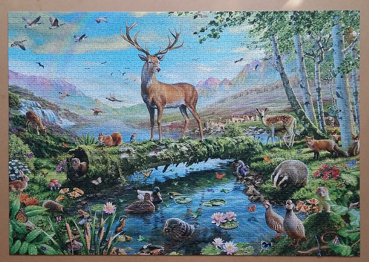 Wildlife Splendour by Adrian Chesterman 2000 Pieces ( Jumbo )