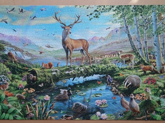 Wildlife Splendour by Adrian Chesterman 2000 Pieces ( Jumbo )