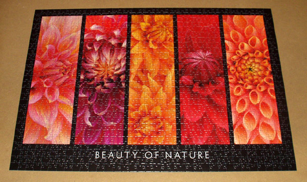 Beauty of nature-Ravensburger-1000 Teile