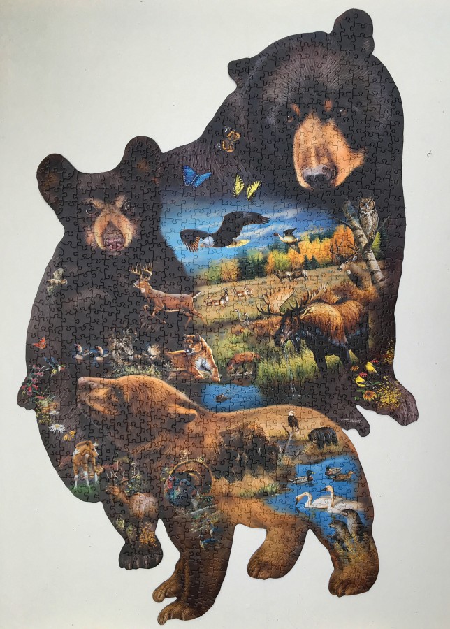 Bear Family Adventure