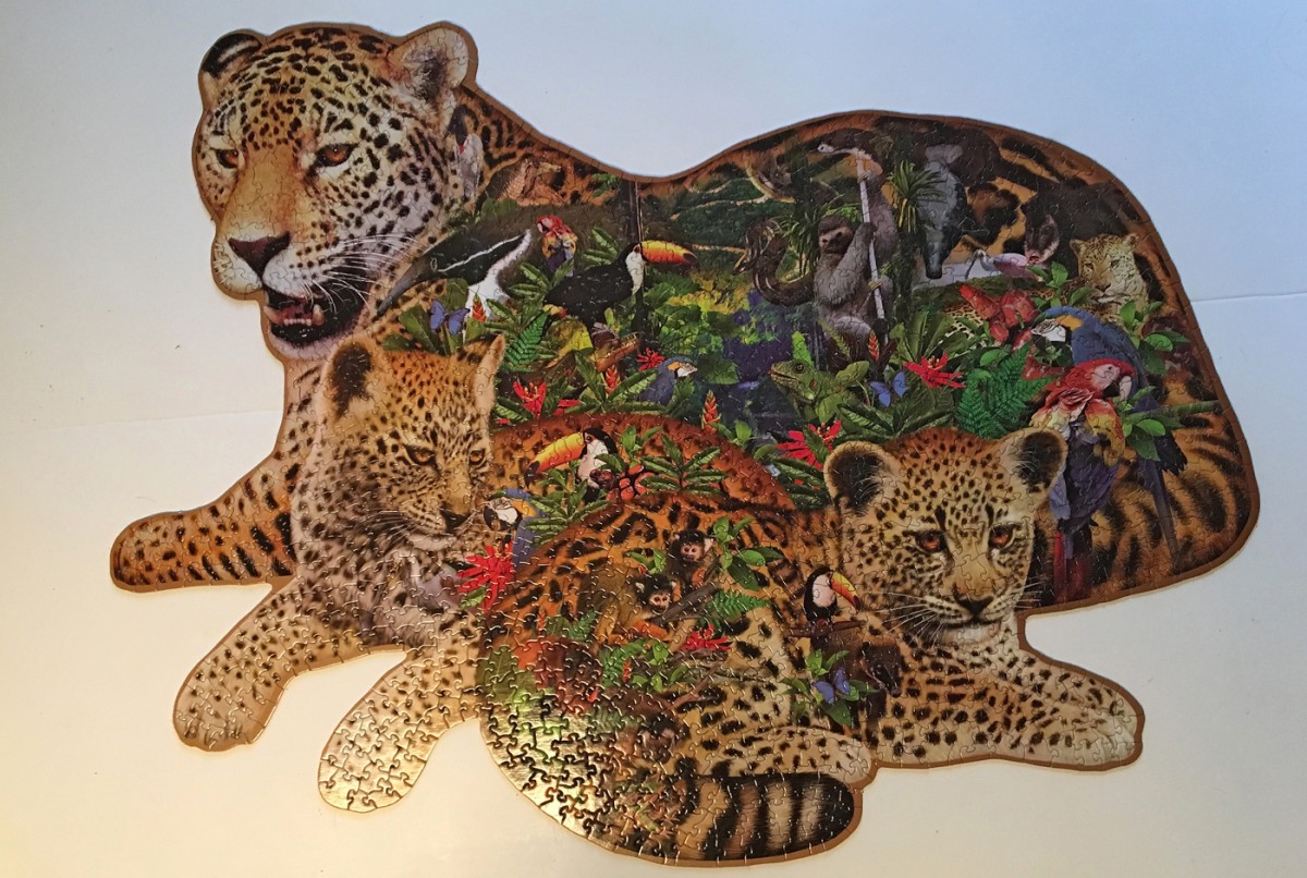 Rainforest Jaguar