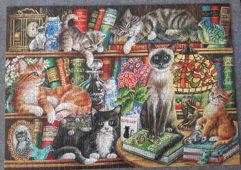 Katzen im Bücherregal, Gibsons G6147, 1000 Teile