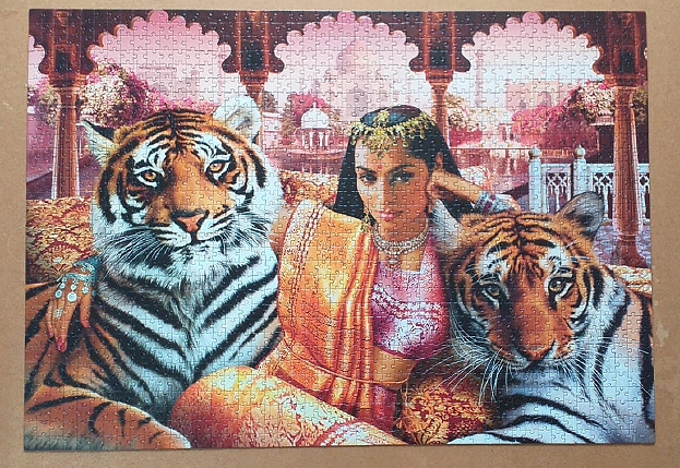 Indian Princess 1504 pieces ( Clementoni )