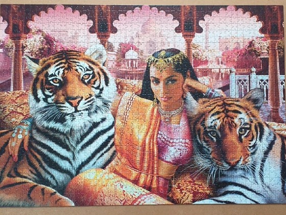 Indian Princess 1504 pieces ( Clementoni )