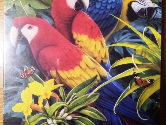 Majestic Macaws, Clementoni, 1000 Teile
