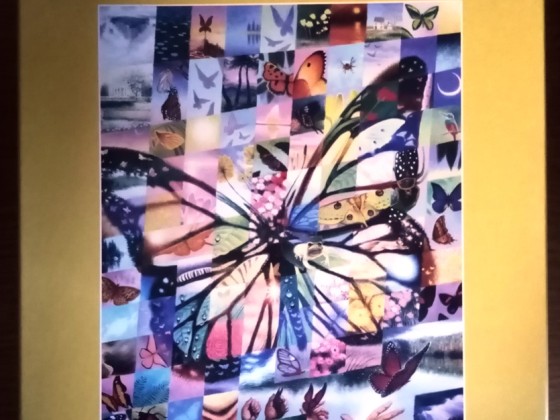Butterfly Collage, 1000 Teile, Weltbild