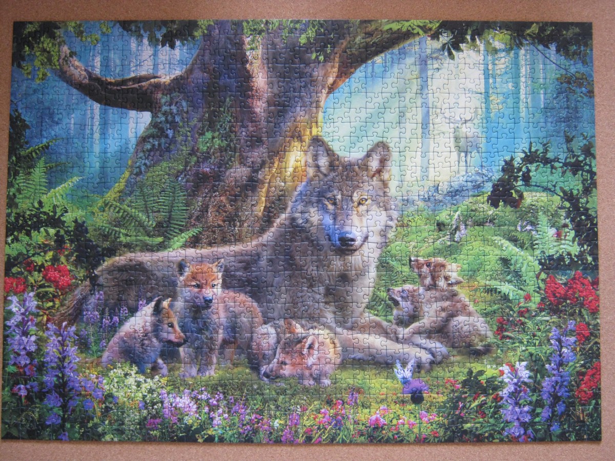 Wölfe im Wald, 1000 Teile (Ravensburger)