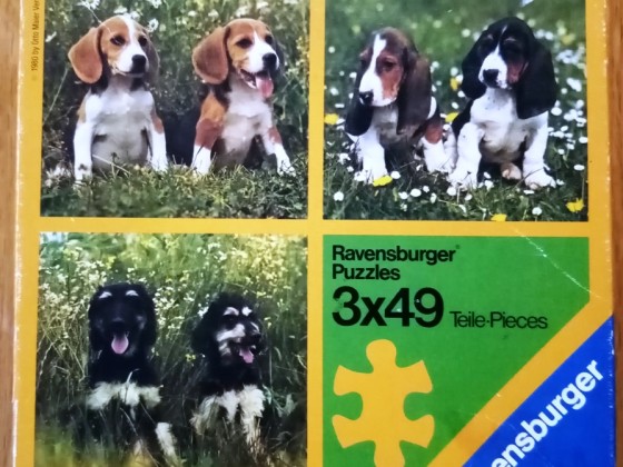 Hunde in der Wiese, 3 x 49 Teile, Ravensburger