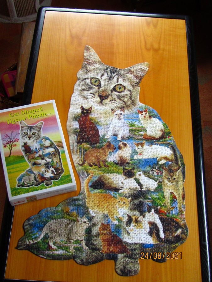 Cat Shaped	1000	ACME	2010 – 2020	Konturen-Puzzle	523814	900 x 560 mm	Hoch	Bestand Nr. 002