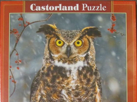 CASTORLAND B-52387 Great Horned Owl 500