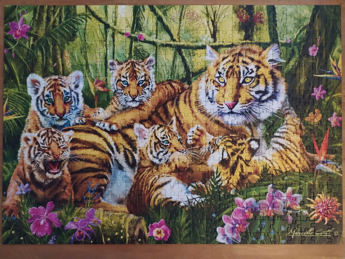 Family of tigers, 500 Teile (Trefl)