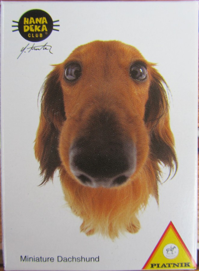 PIATNIK 501692 Miniature Dachshund (HANA DEKA Hunde) 54
