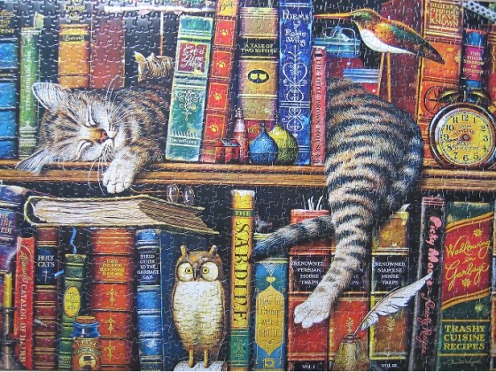 Katze im Bücherregal