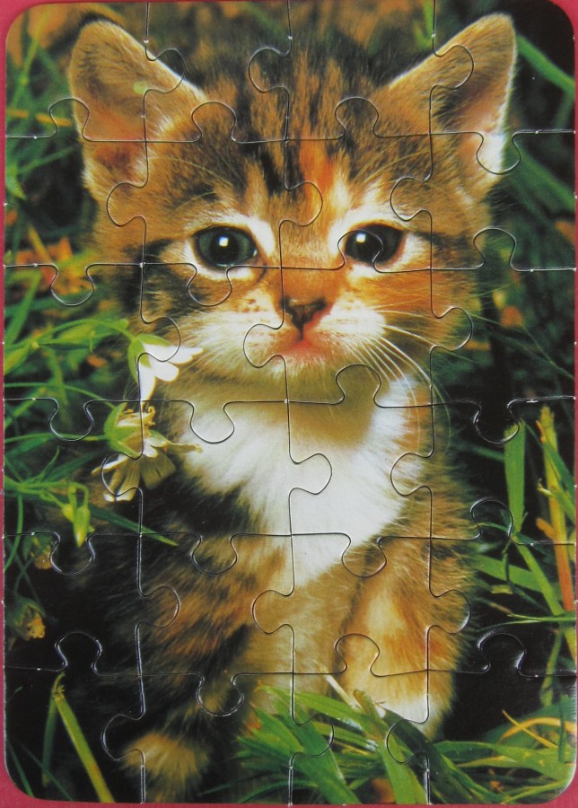 Kätzchen im Gras	24	PIATNIK (Germany)	My Animal friends	Mini Puzzle 24 Nr. 5064 (501197) Hoch	17,5 x 12,5		Bestand Nr. 055 2220