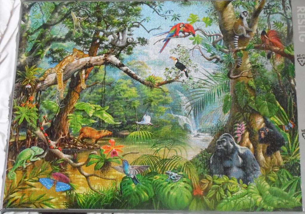 Life hidden in Jungle