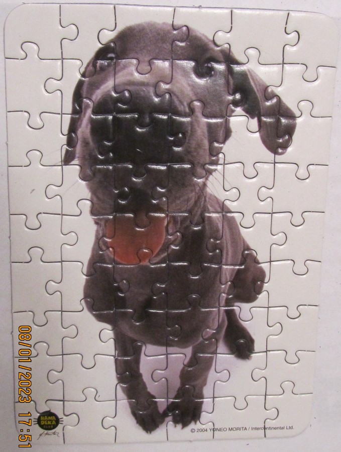 PIATNIK 501692 Greyhound (HANA DEKA) 54