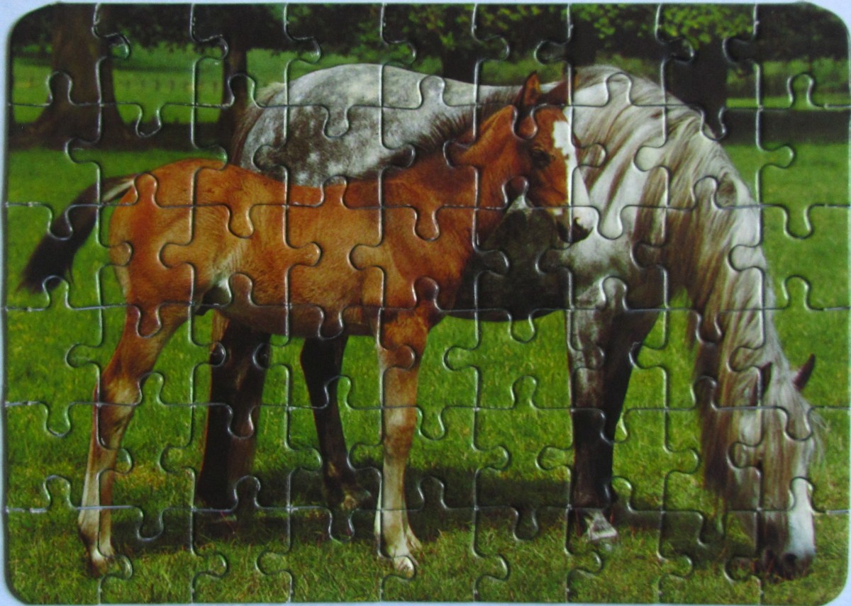 Pferd mit Fohlen	54	FX SCHMID	Tony Stone	Mini-Puzzle	93291	Quer 12,5 x 17,5		Bestand Nr. 088 2235
