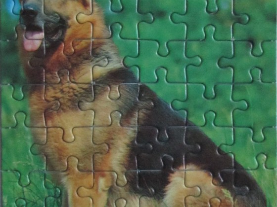 (Schäferhund)	54	SCHMIDT	A.Schmidecker	Mini-Puzzle	625 2434A	Hoch 12,5 x 17,5		Bestand Nr. 087 2240