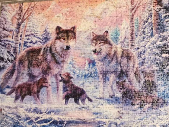 "Arktische Wölfe" von Ravensburger Puzzle - Fertig