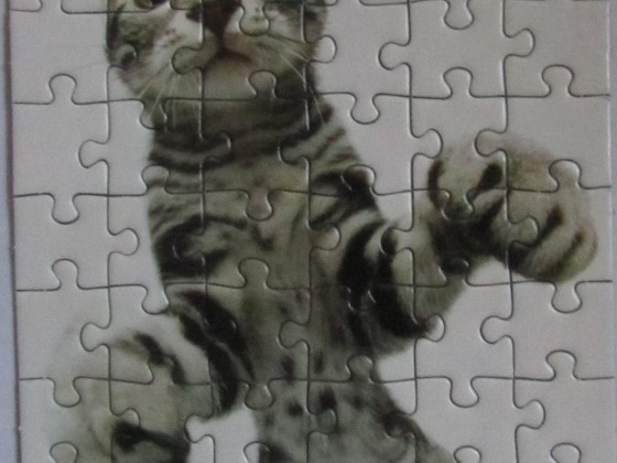 American Shorthair (4/16)	54	PIATNIK	2004 Yoneo Morita	Mini-Puzzles HANA DEKA (Katzen)	5017	12,5 x 17,5	Hoch	Bestand Nr. 044 2271