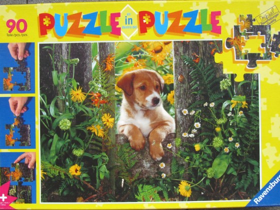 RAVENSBURGER 09 905 4	Im Garten (Puzzle in Puzzle) 	90