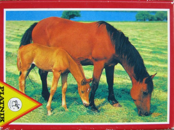 PIATNIK	501197	- 5060 Pferde (My Animal friends)	24	Teile