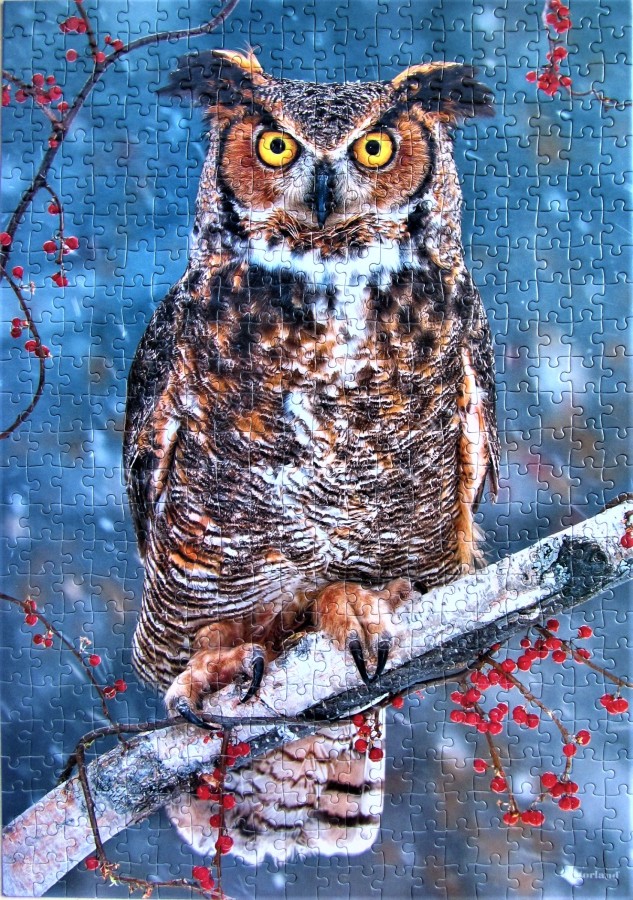 Great Horned Owl	500	CASTORLAND	Steve Gettle		B-52387		Hoch 33 x 47	Bestand Nr. 074 1060