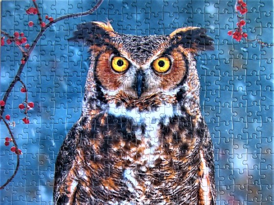 Great Horned Owl	500	CASTORLAND	Steve Gettle		B-52387		Hoch 33 x 47	Bestand Nr. 074 1060