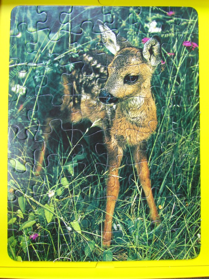 Tierkinder 	 48 (2x)	PIATNIK		(Animal Babies)	5290			Bestand Nr. 101 2289