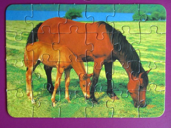 Pferde	24	PIATNIK (Germany)	My Animal friends	Mini Puzzle 24	5060 -  501197	Breite 17,5 x 12,5		Bestand Nr. 055 2299