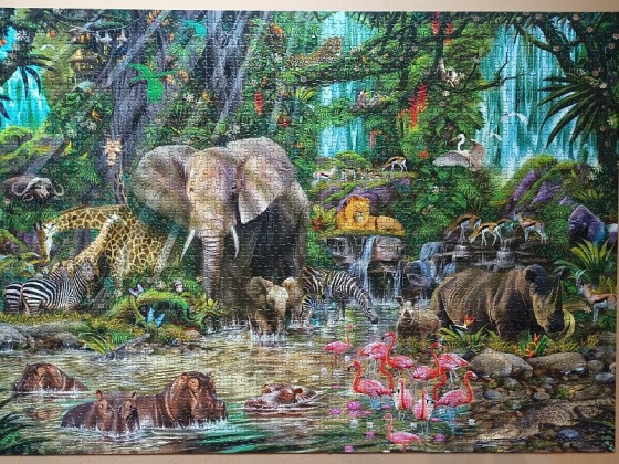 African Jungle by John  M. Enright 2000 pieces  ( Educa Puzzle )