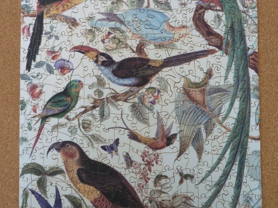 Wentworth "Birds of Paradise" 500 Teile
