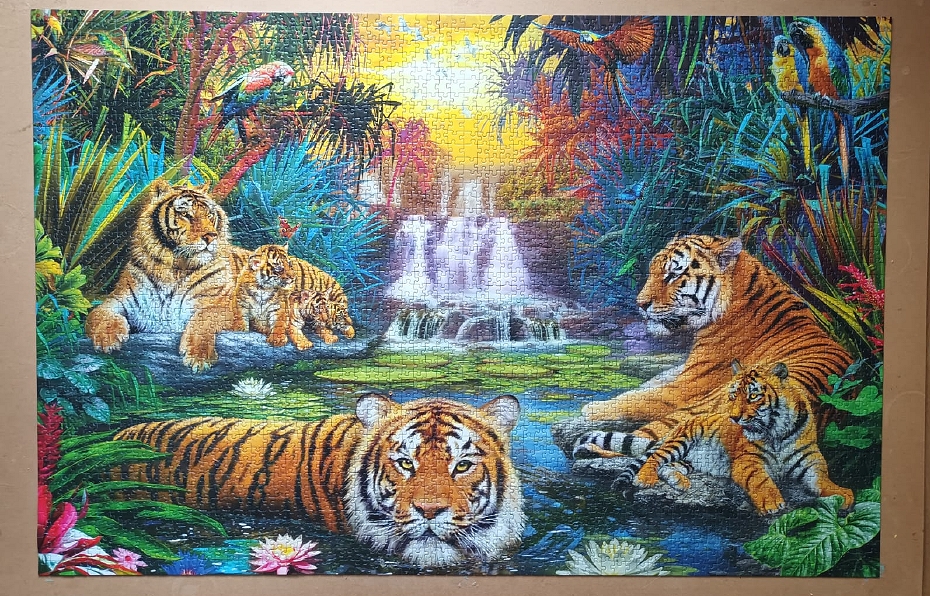 Tigers at the Waterhole, 3168 pieces ( Ravensburger Puzzle )
