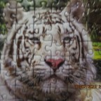 Ravensburger Die Familie der weißen Tiger 1000