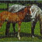 Pferd mit Fohlen	54	FX SCHMID	Tony Stone	Mini-Puzzle	93291	Quer 12,5 x 17,5		Bestand Nr. 088 2235