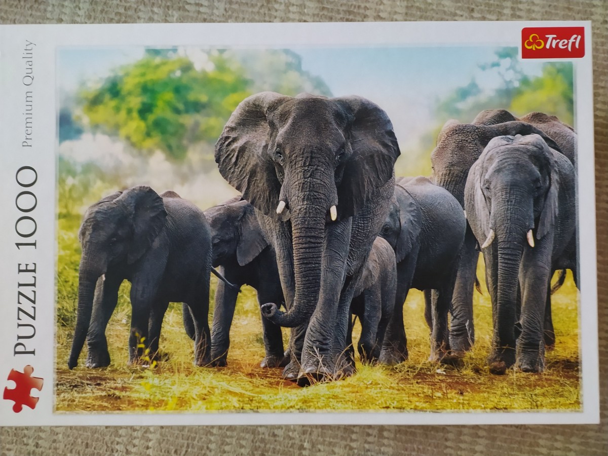 African elephants, 1000 Teile (Trefl)
