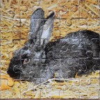 4 Mini Puzzle - Kaninchen