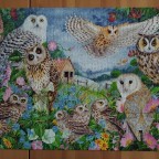 Owls in the wood, 1000 Teile (Falcon)