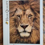 Lion face