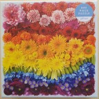 Seabrook_Flowers