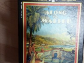 Along the Malibu Minipuzzle- Educa-1000 Teile