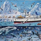 Francois Ruyer - Bluebird Boat (Arctic)