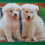 2 junge Samoyeden	24	PIATNIK (Germany)	My Animal friends	Mini Puzzle 24	5064 - 501197	Breite 17,5 x 12,5		Bestand Nr. 055 2298