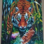 Grasping Tiger, 1000 Teile (Trefl)